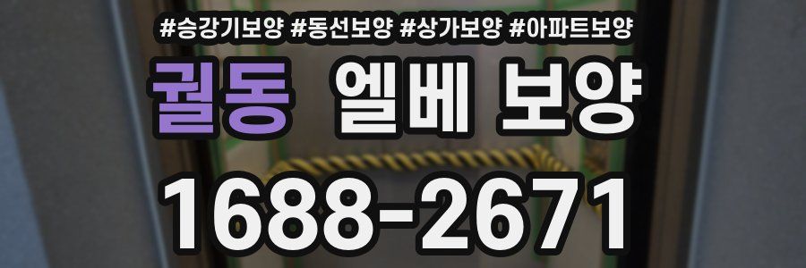 궐동 엘베 보양