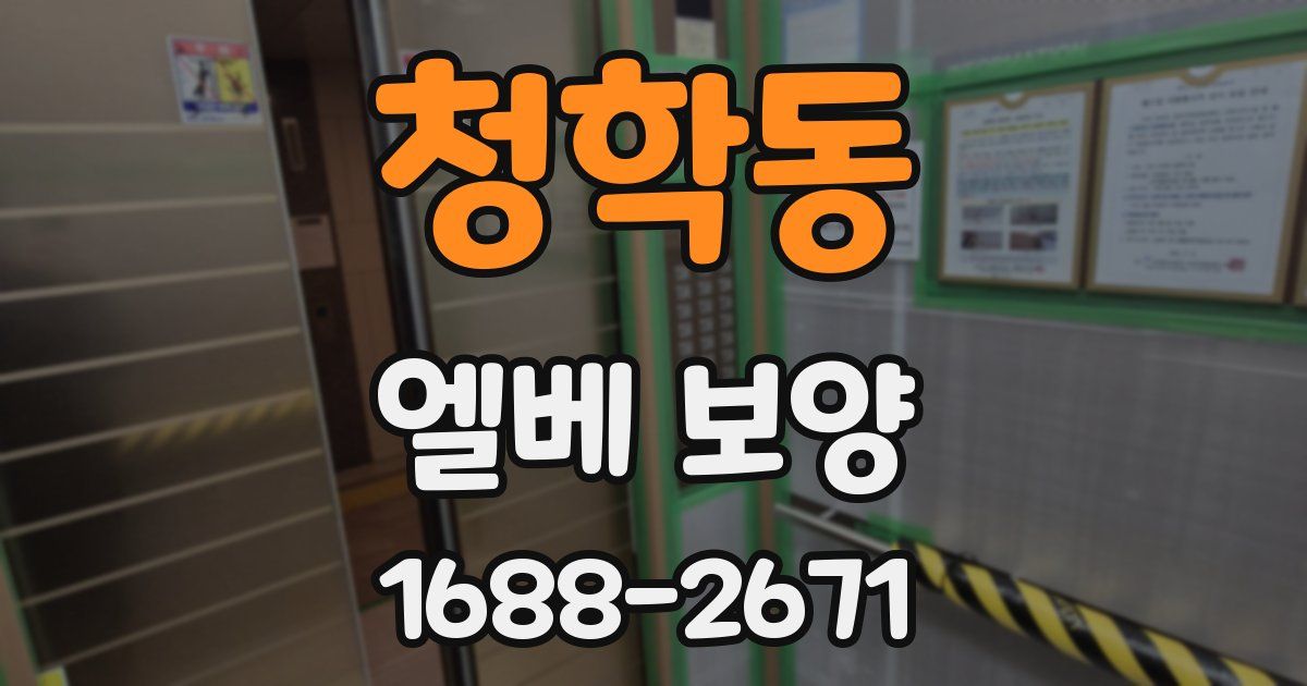 청학동 엘베 보양