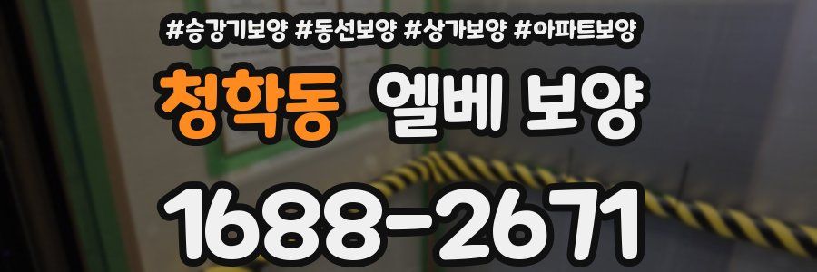 청학동 엘베 보양