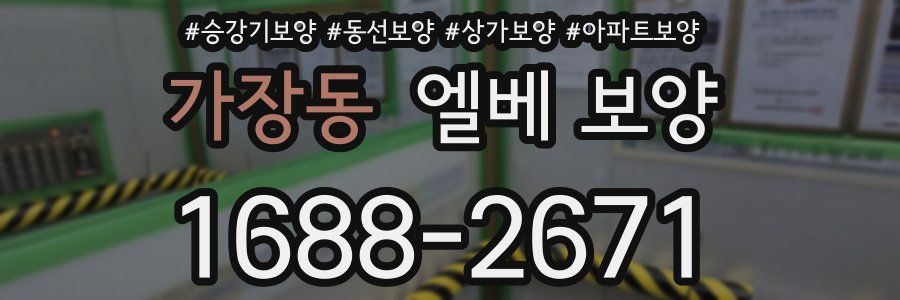 가장동 엘베 보양
