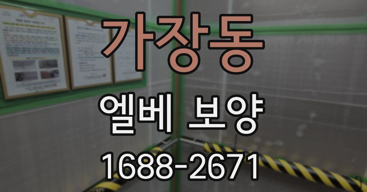 가장동 엘베 보양