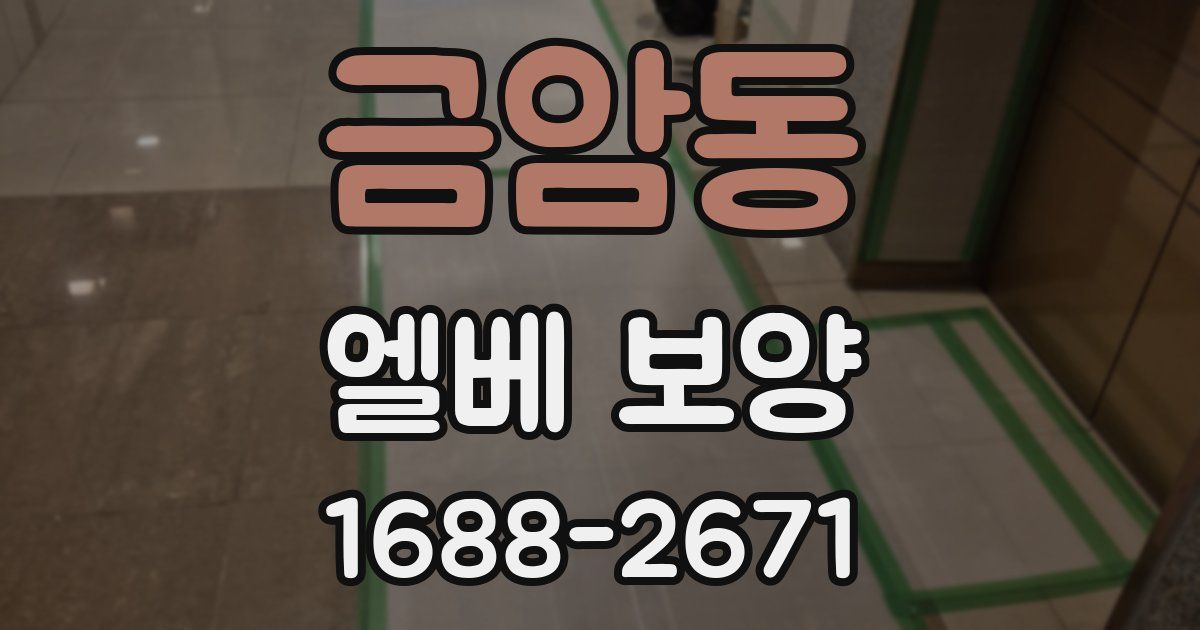 금암동 엘베 보양