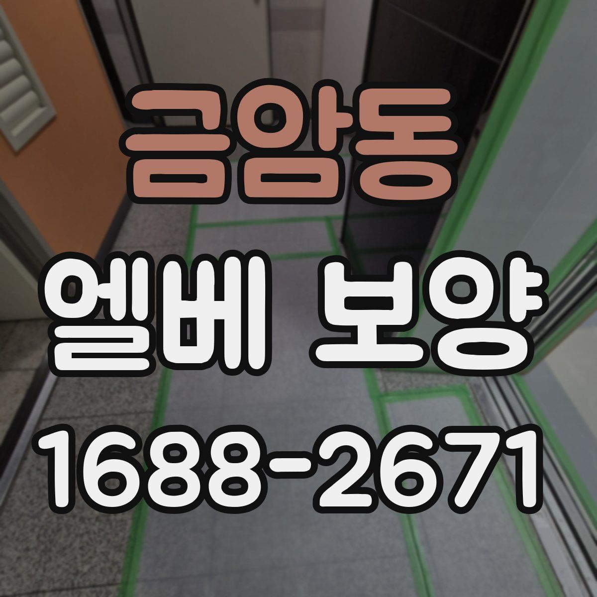 금암동 엘베 보양