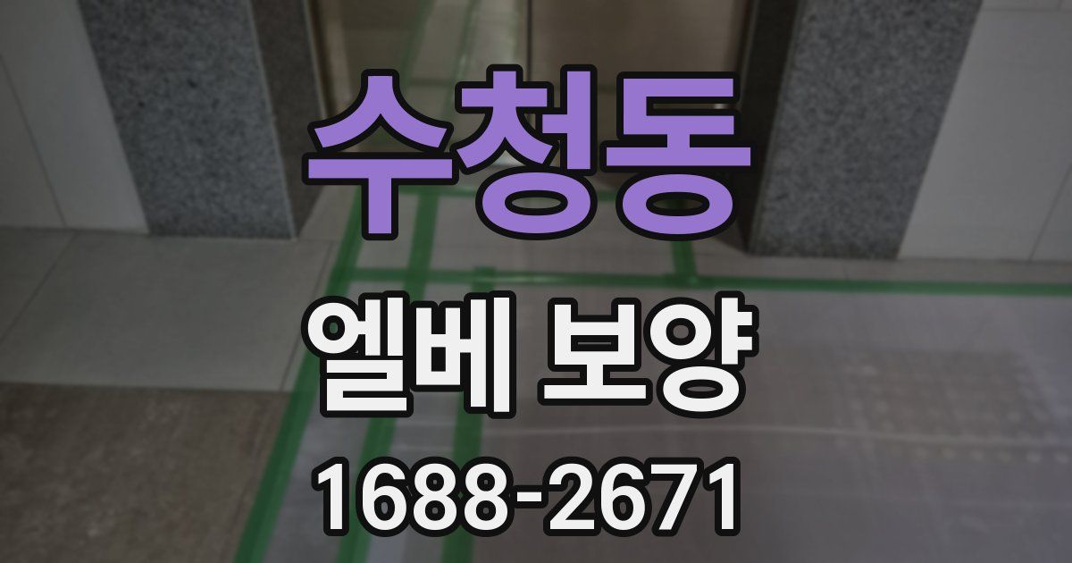 수청동 엘베 보양