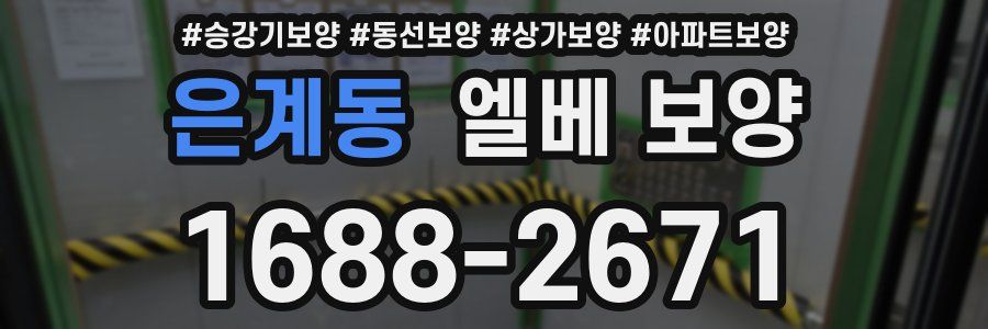 은계동 엘베 보양