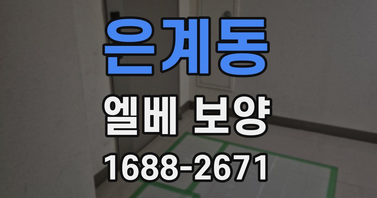 은계동 엘베 보양