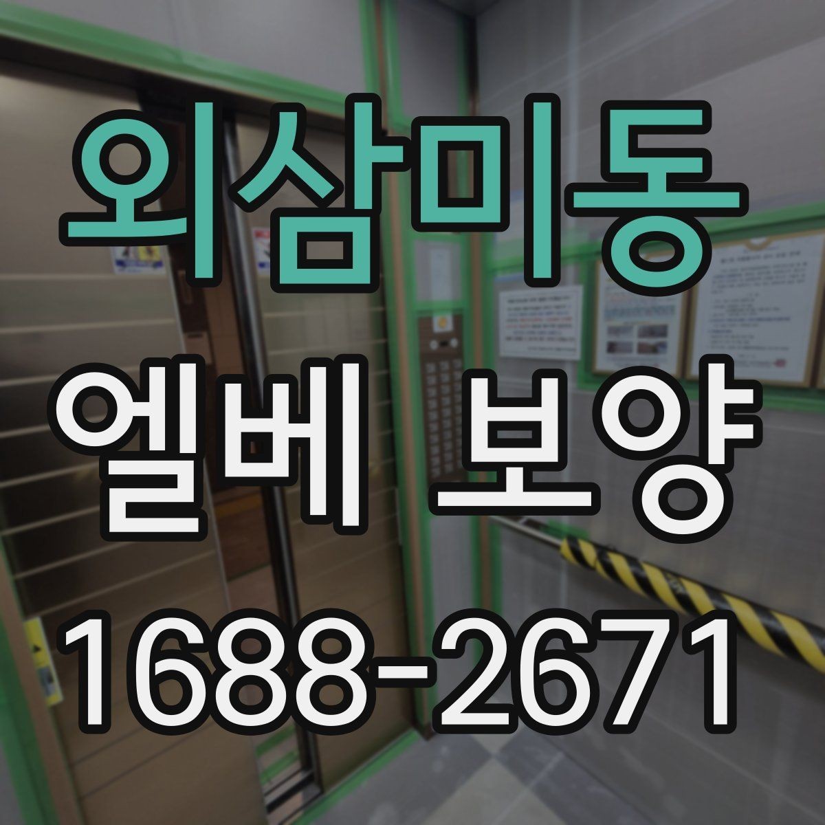 외삼미동 엘베 보양 승강기 내외부 손상을 줄이는 적용 범위