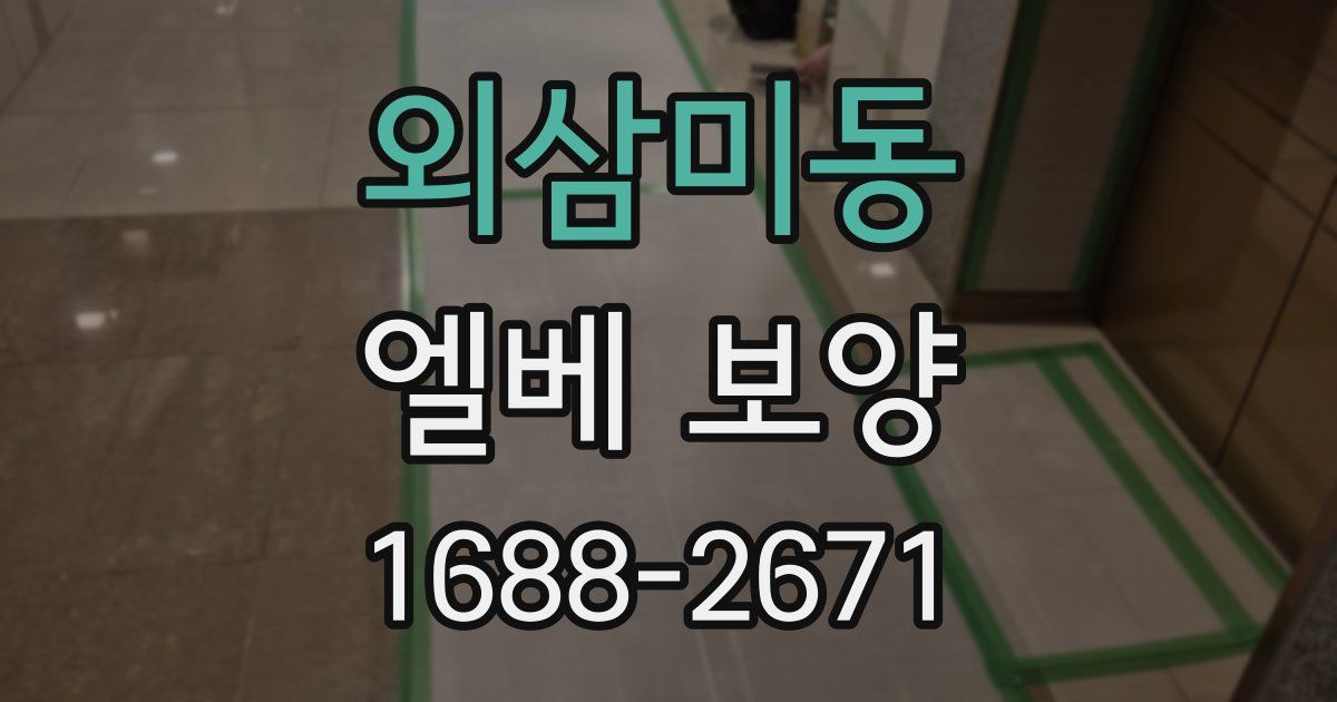 외삼미동 엘베 보양