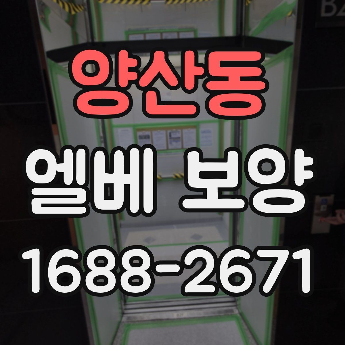 양산동 엘베 보양 시트 마감과 테이프 처리에서 자주 하는 실수