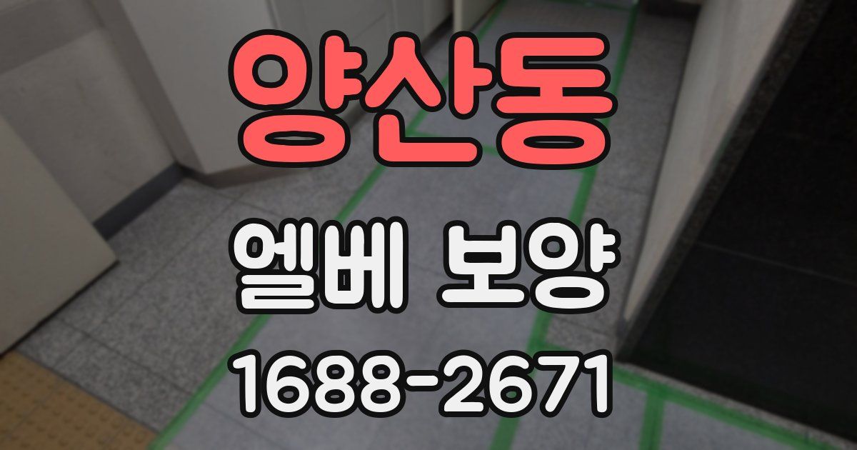 양산동 엘베 보양