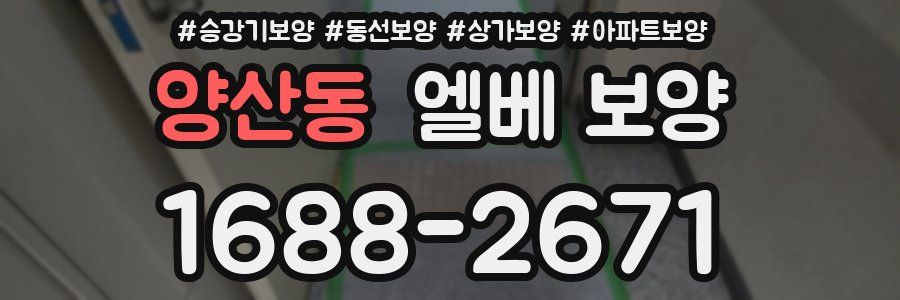 양산동 엘베 보양