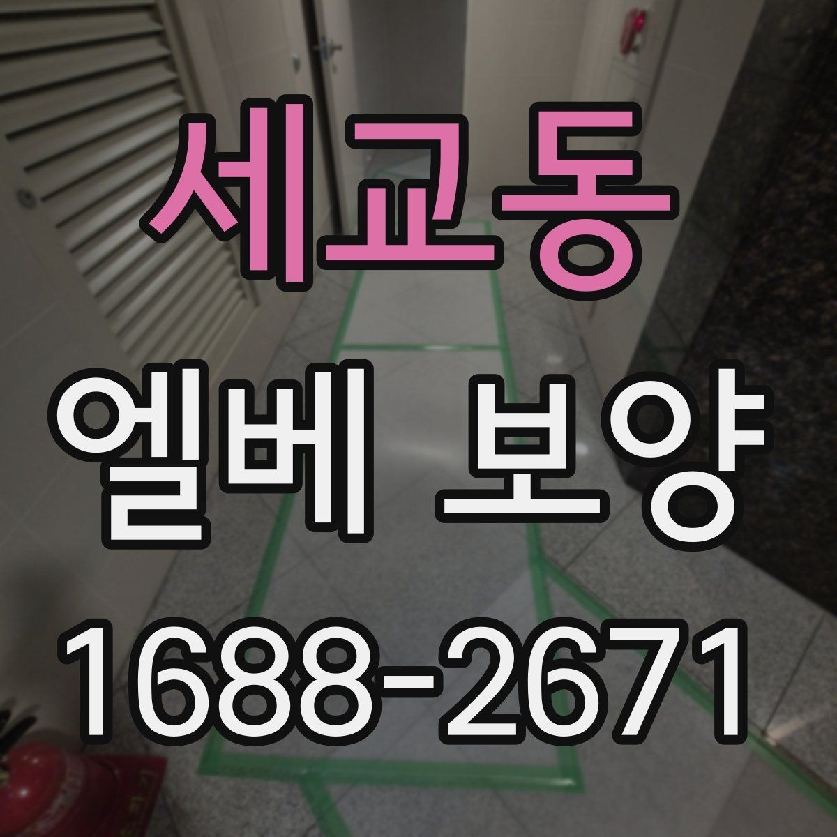 세교동 엘베 보양 작업 전후 사진 기록을 남겨야 하는 순간