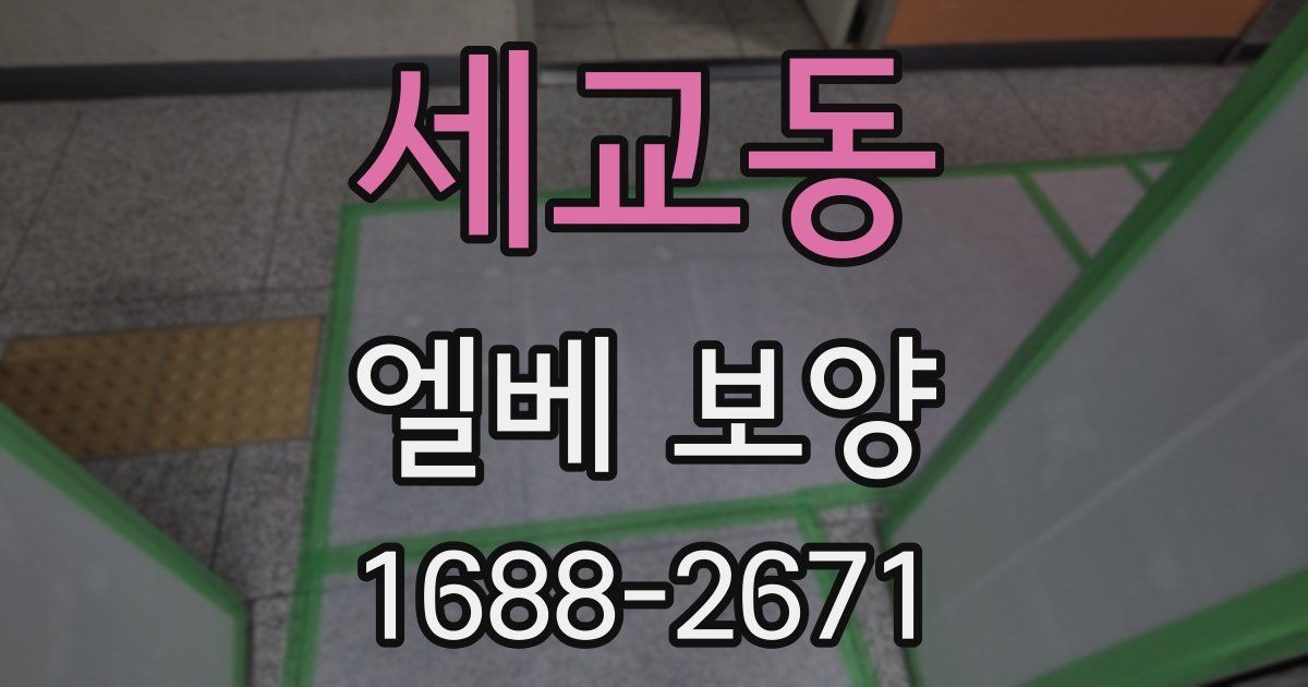 세교동 엘베 보양