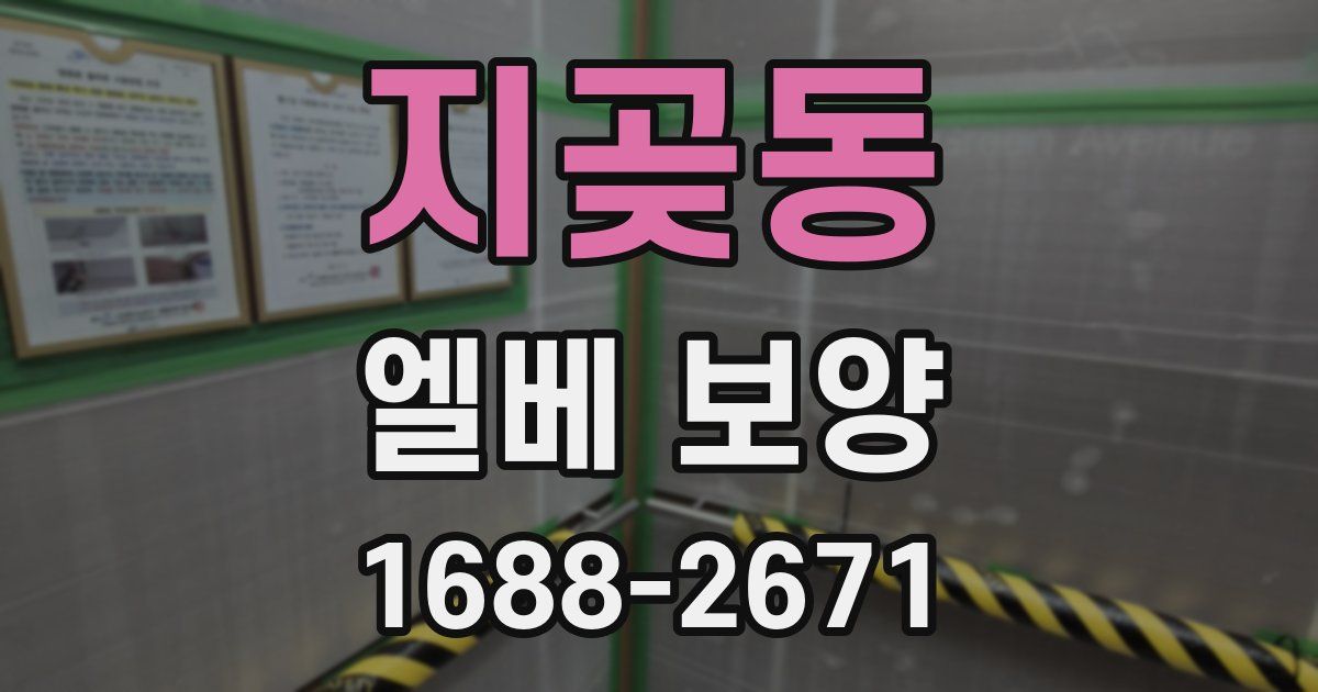 지곶동 엘베 보양