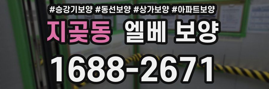 지곶동 엘베 보양