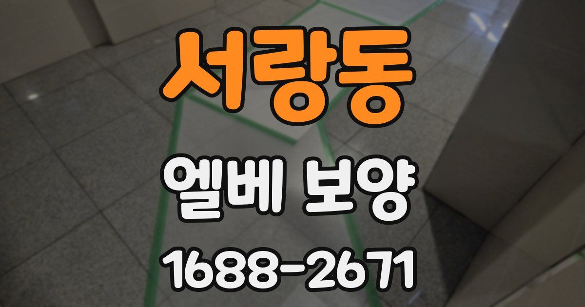 서랑동 엘베 보양