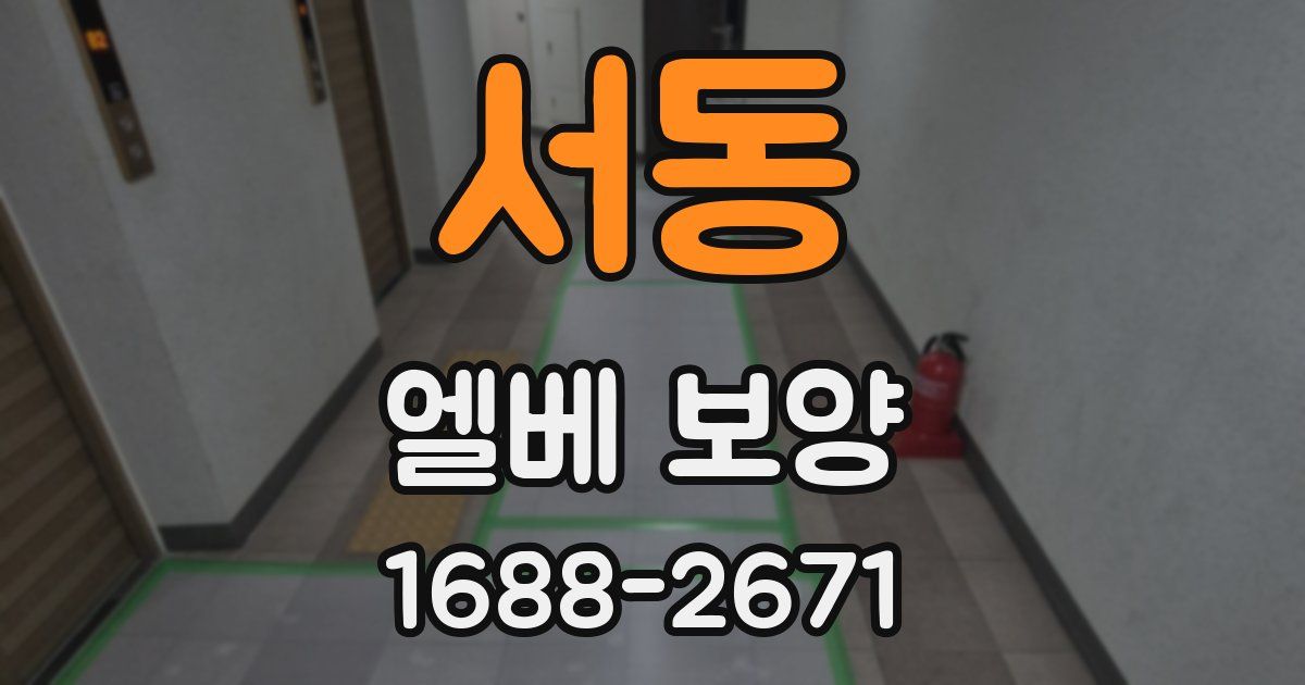 서동 엘베 보양