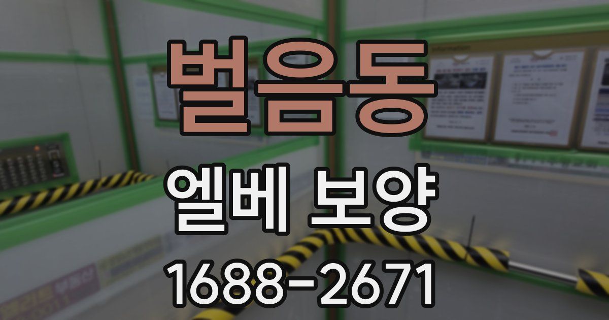 벌음동 엘베 보양