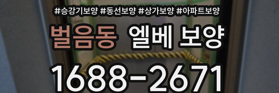 벌음동 엘베 보양