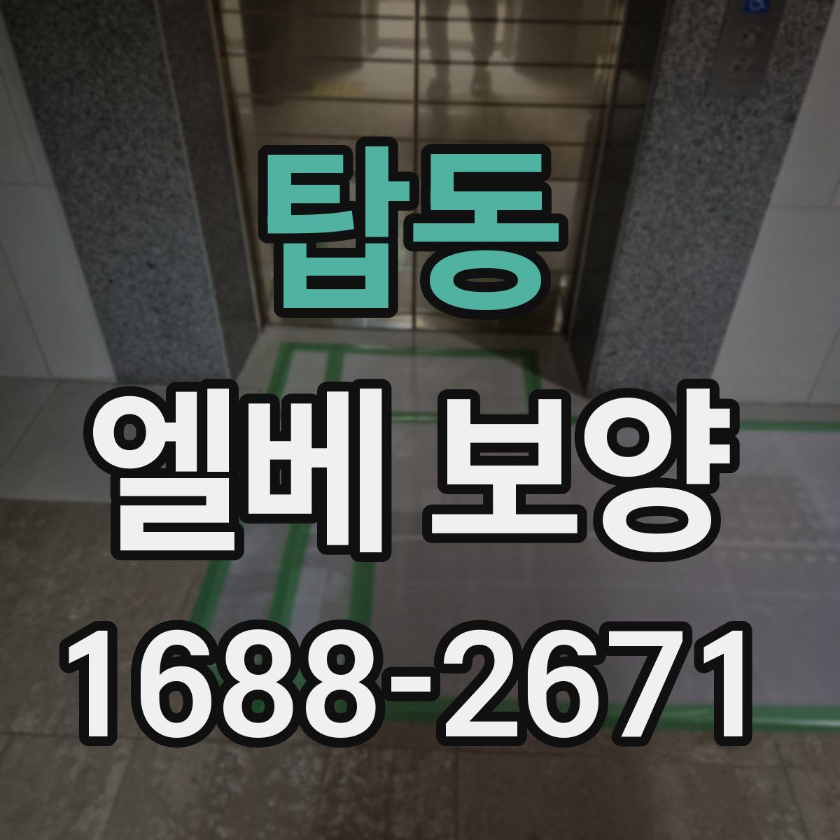 탑동 엘베 보양