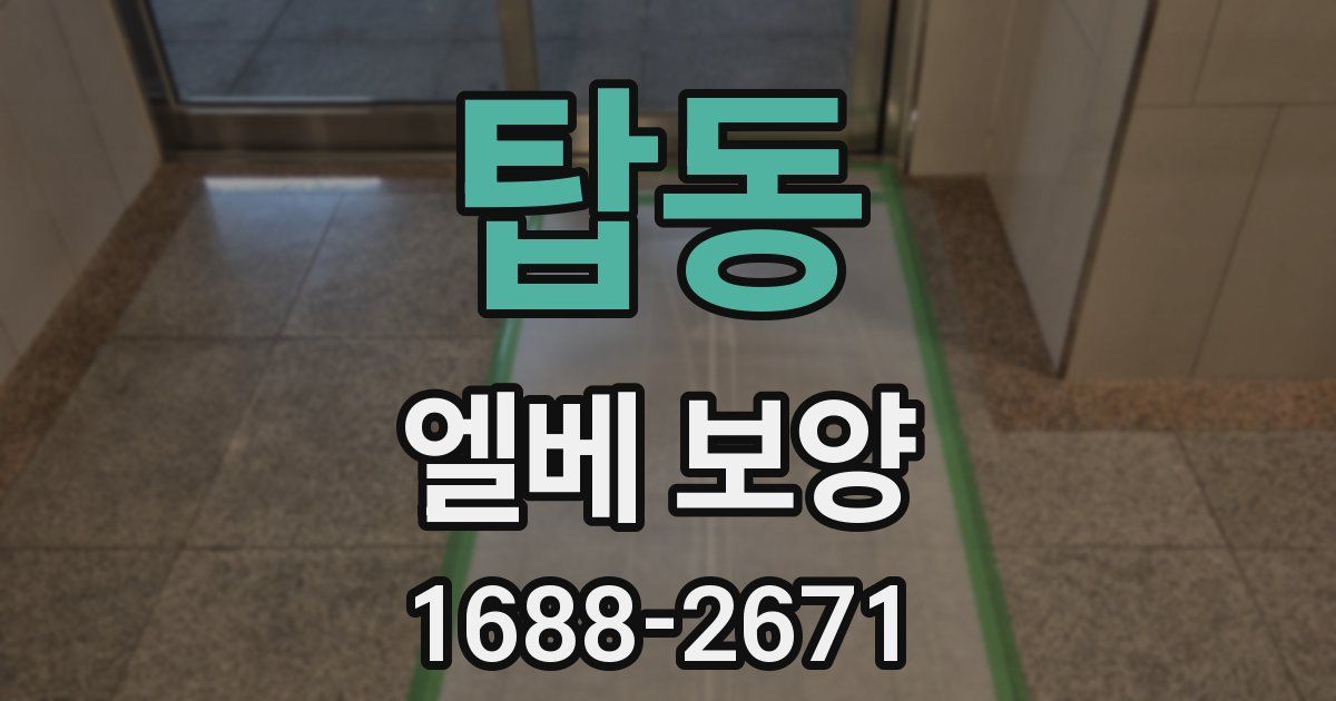 탑동 엘베 보양