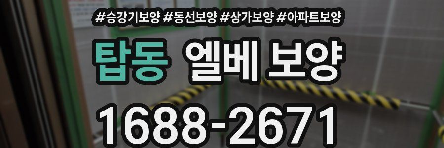 탑동 엘베 보양