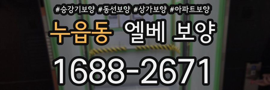 누읍동 엘베 보양