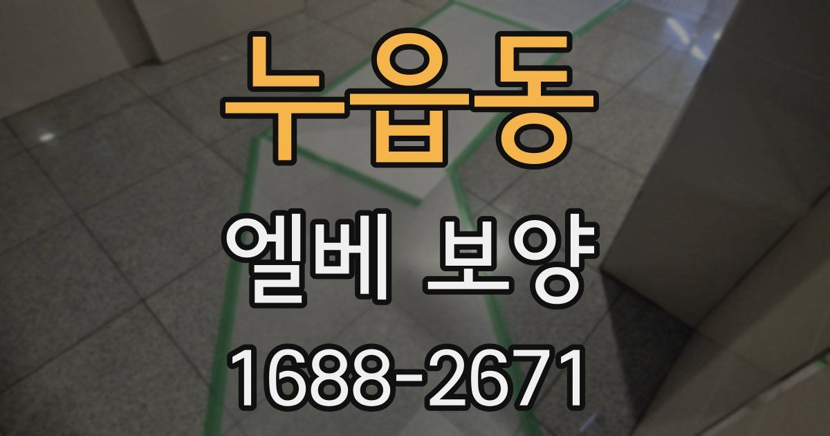 누읍동 엘베 보양
