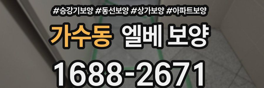가수동 엘베 보양