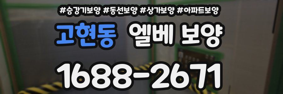 고현동 엘베 보양
