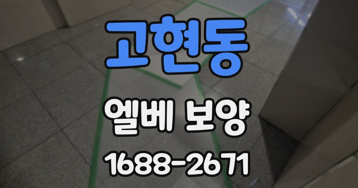 고현동 엘베 보양