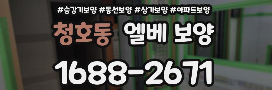 청호동 엘베 보양