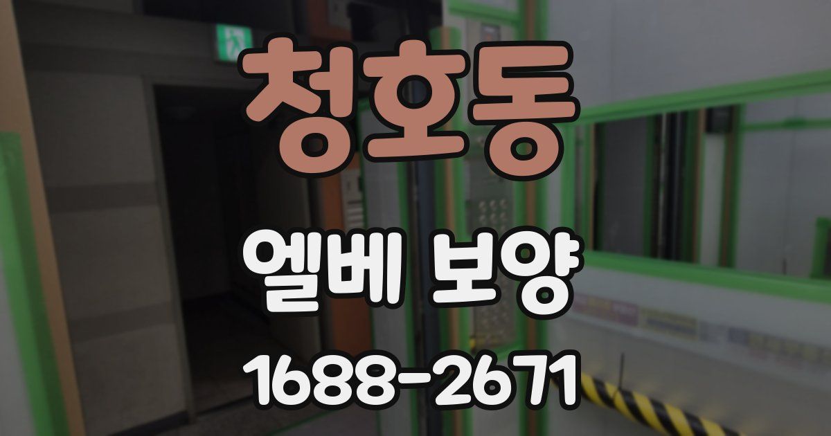 청호동 엘베 보양
