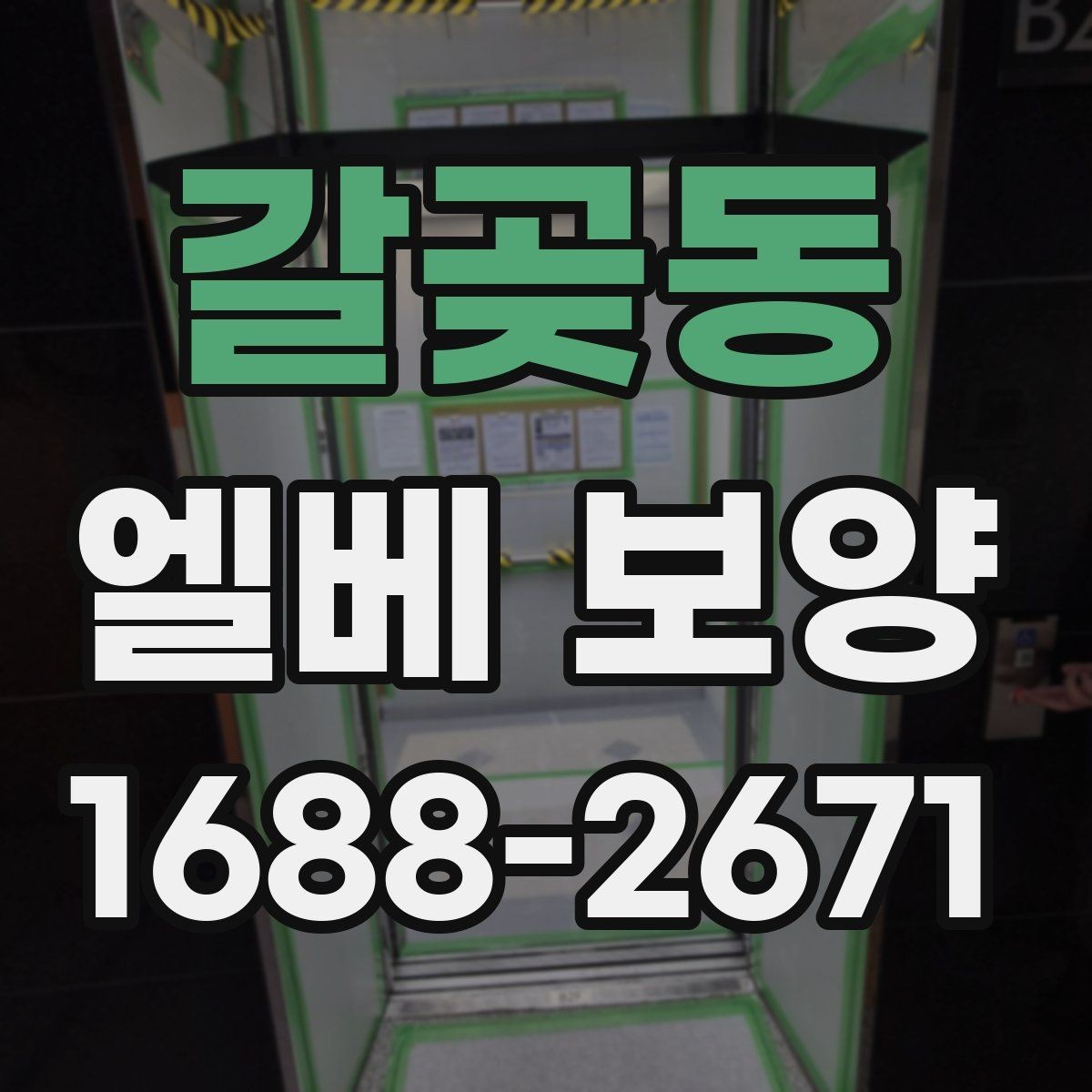 갈곶동 엘베 보양 현장 동선이 복잡할수록 중요한 보호 방식
