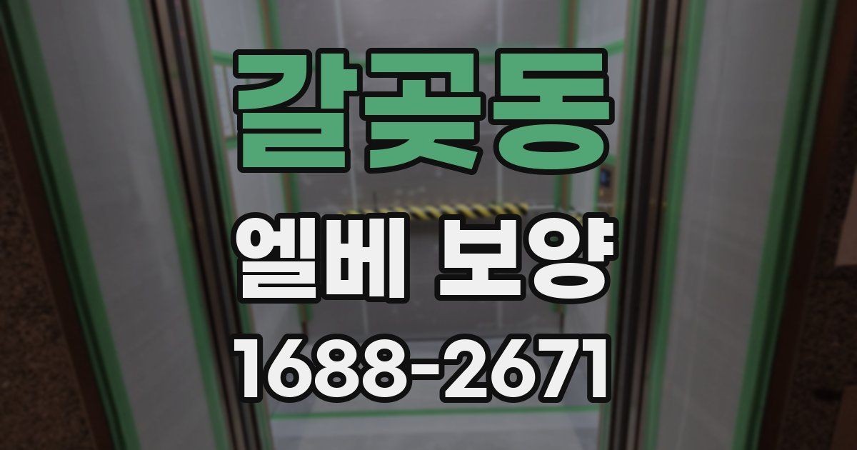 갈곶동 엘베 보양
