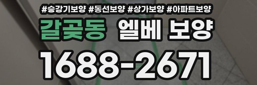 갈곶동 엘베 보양