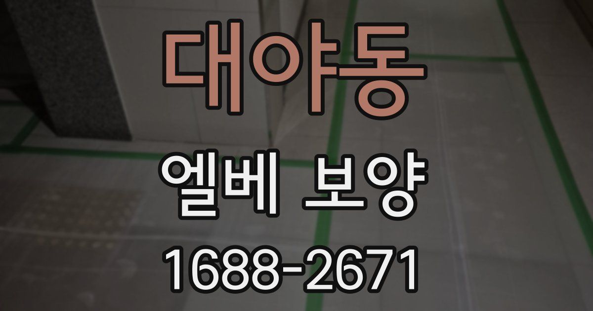 대야동 엘베 보양