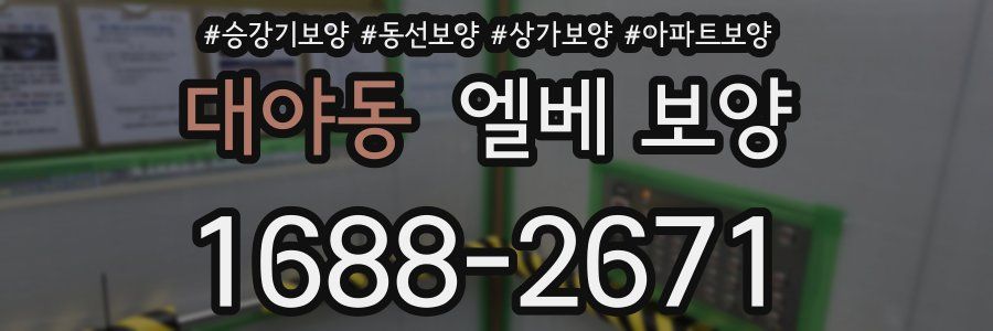 대야동 엘베 보양