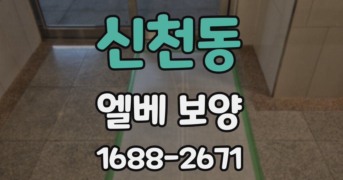 신천동 엘베 보양