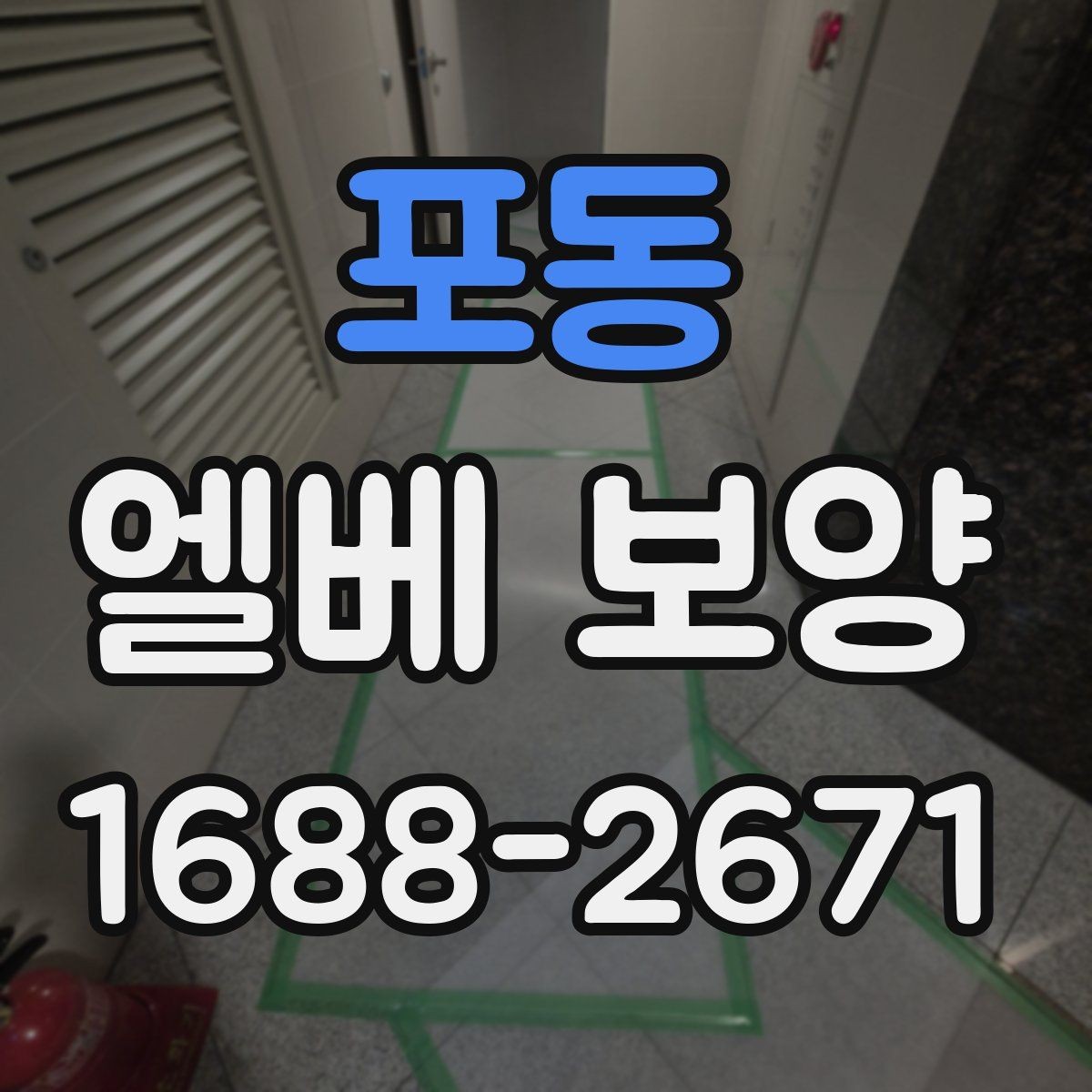 포동 엘베 보양 시트와 판넬을 구분해 쓰는 기준