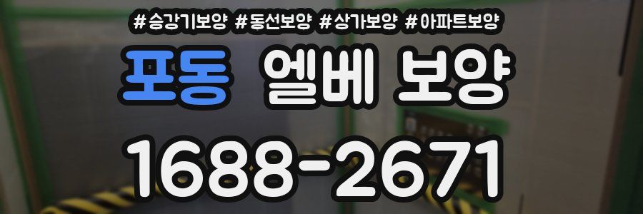포동 엘베 보양