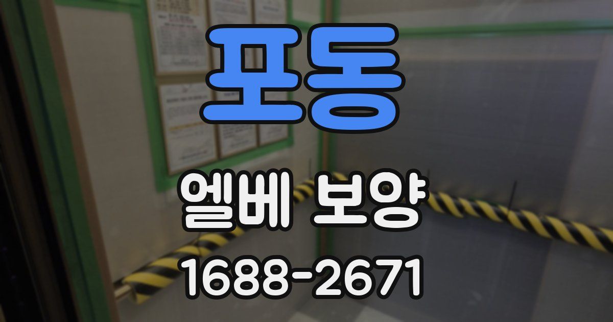 포동 엘베 보양
