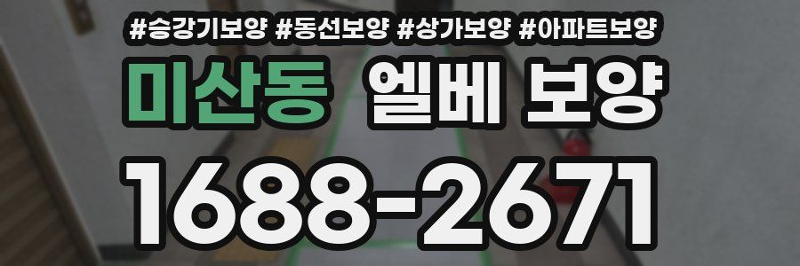 미산동 엘베 보양