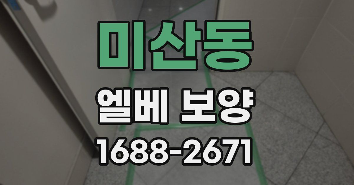미산동 엘베 보양