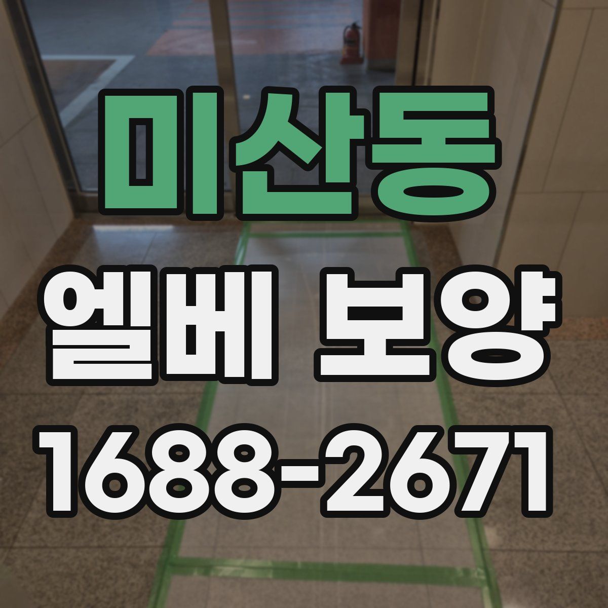 미산동 엘베 보양