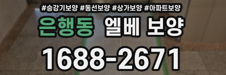 은행동 엘베 보양