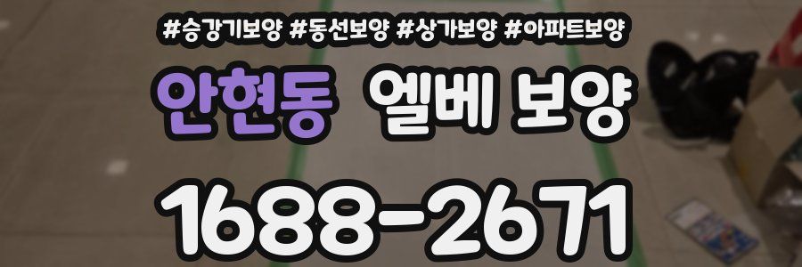 안현동 엘베 보양