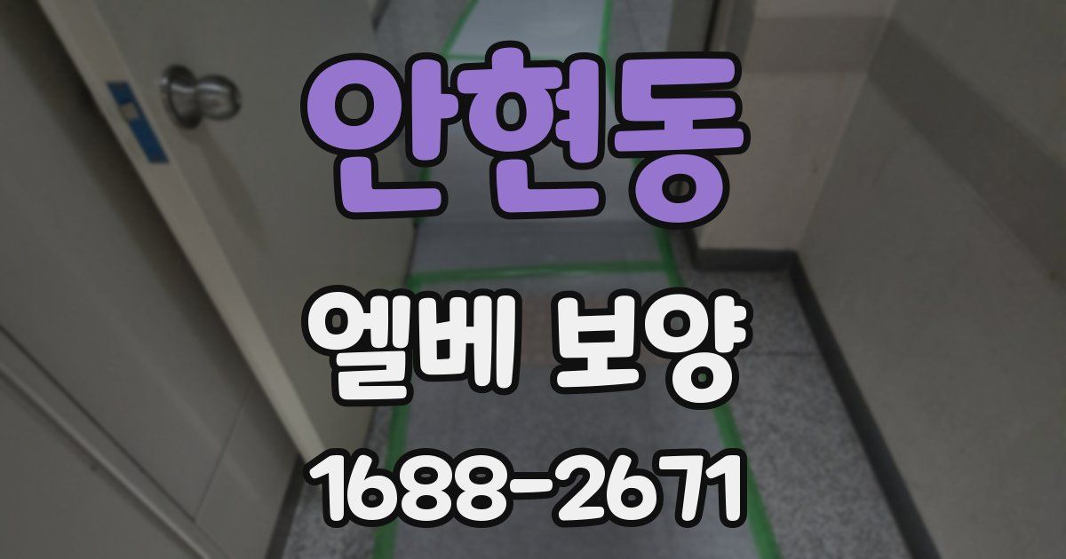 안현동 엘베 보양
