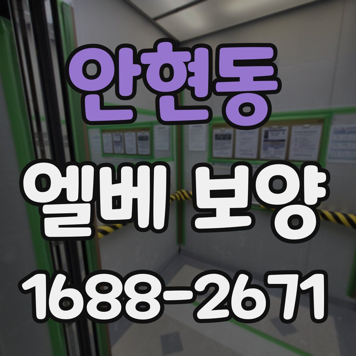 안현동 엘베 보양