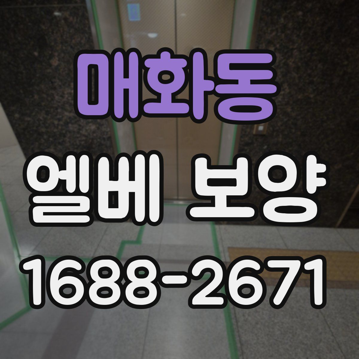 매화동 엘베 보양